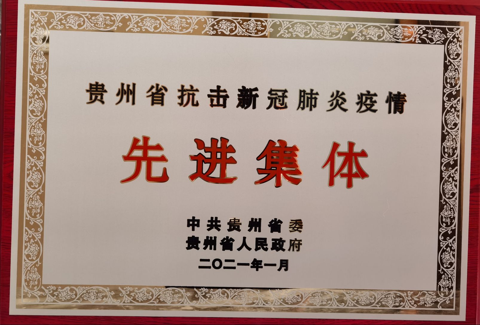 ​太阳成集团tyc122ccvip荣获贵州省抗疫先进集体2
